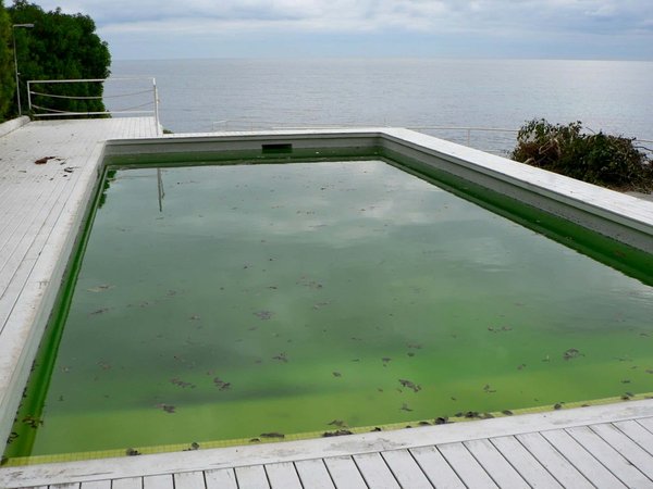 Sel de piscine : les avantages de son utilisation